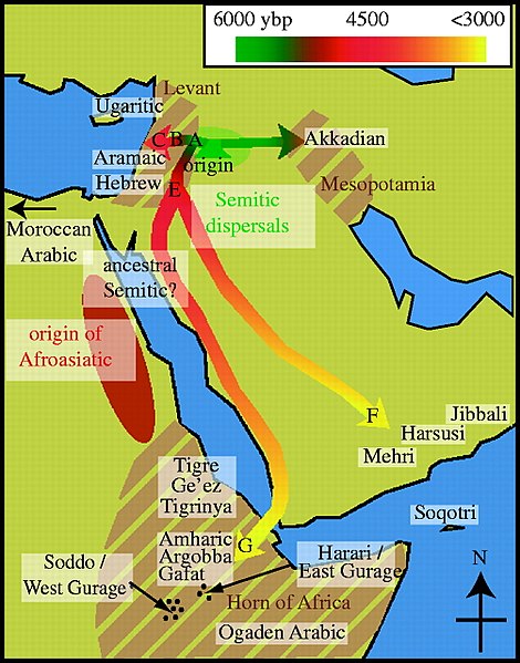 Map of Semitic languages and statistically inferred dispersals. The assumed location of the divergence of ancestral Semitic from Afroasiatic between the African coast of the Red Sea and the Near East is also indicated.