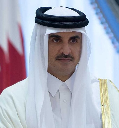(Emir of Qatar Tamim bin Hamad Al Thani)


