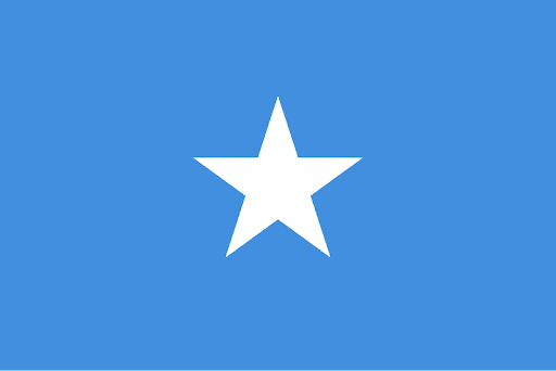 The Somali flag